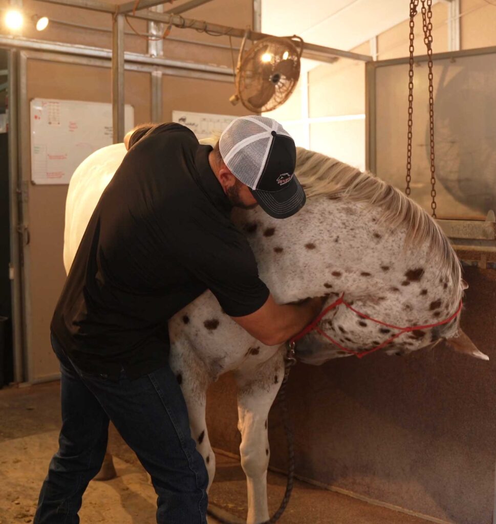 Dr. Mike Adney adjusting horse in Scottsdale, Arizona