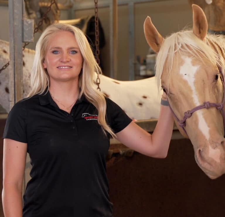 Home Sport Horse Chiropracitic